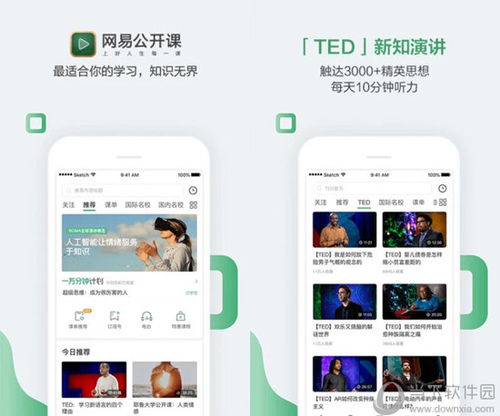 澳门精准资料大全免费查询,正版资料|动态词语解释落实_安卓.7.503