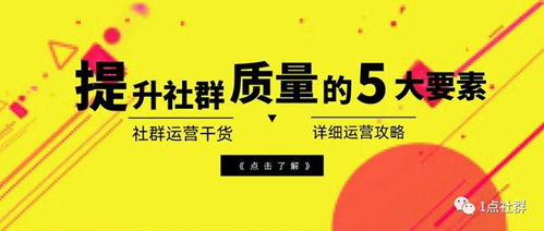 2024澳门天天彩期期精准|效率资料解释落实_创新品.8.748