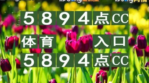 2024澳门买马最准网站|前沿解答解释落实_YE版.9.17